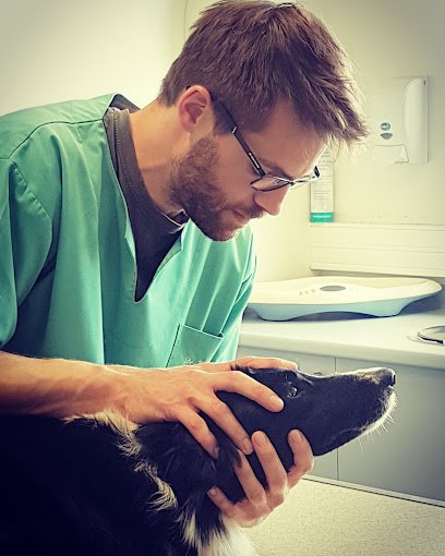 Kévin DEJEAN Vétérinaire Ostéopathe
