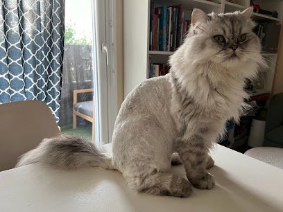 Clinique Vétérinaire du Docteur Hermann