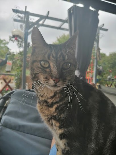 Cabinet vétérinaire de la Lieue