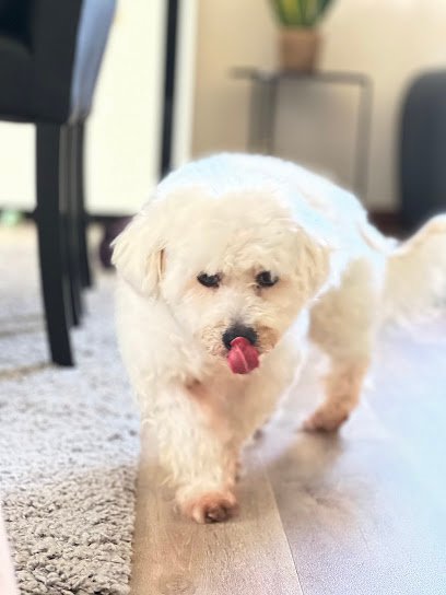 Clinique Vétérinaire EspaceVet Saint Jean de Linières